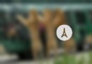 溱湖動物園