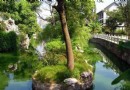 泰興公園