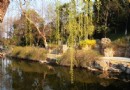 拱極台公園