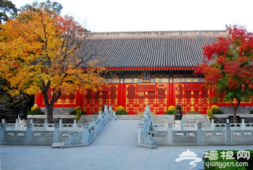 香山紅葉節食色共賞 北京香山公園周邊美食餐廳