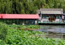 臨湖軒餐廳 那一抹世外桃源