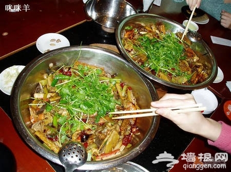 香鍋 將麻辣進行到底[牆根網]