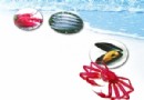 京城海鮮大搜羅 水嫩海鮮炫動“海”的味道