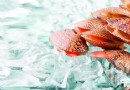 瘋狂的貝殼 京城狂吃貝類7個集結地
