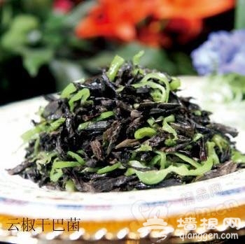 干巴菌 干巴菌