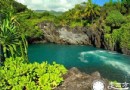 美國夏威夷海島旅游攻略之火山口體驗大地脈動的火山大島