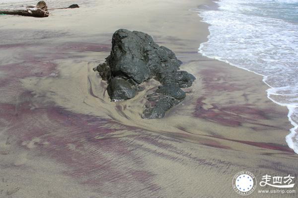 紫色沙灘圖片