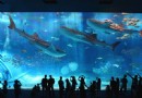 青島水族館