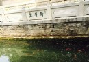 臥牛泉