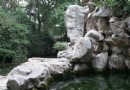淺井泉