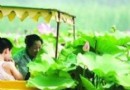 白雲湖