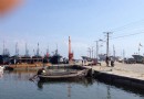 桑溝灣海洋牧場