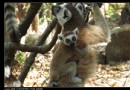 伊薩魯國家公園