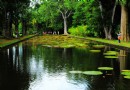 龐普勒穆斯皇家植物園
