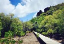 庫瑞爾島