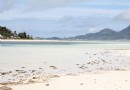 塞爾夫島