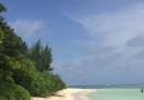 Anse La Reunion