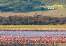 曼亞拉湖國家公園