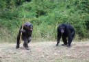 甜水野生動物保護區