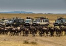 馬賽馬拉國家野生動物保護區