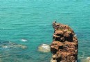屺姆島