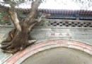 壺天閣