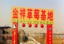 金祥草莓基地