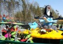 七巧板歡樂園