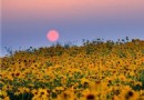 花仙子風景區