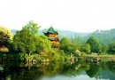 白洋澱鴛鴦島