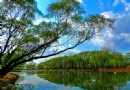 北戴河濕地公園