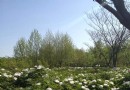 秦皇植物園