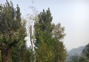 漫山花溪谷