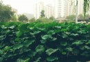 元南公園