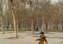 東環公園
