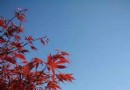 石太公園
