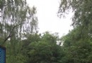 長安公園