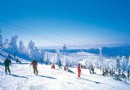 元寶山滑雪場