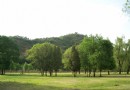 萬樹園
