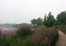 西北環城水系公園