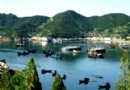 海洋島