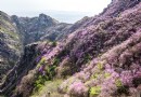 大黑山