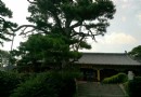 豬蹤朝陽寺