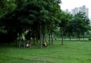 建設公園