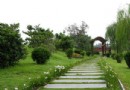碧塘公園