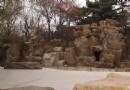 萬柳塘公園