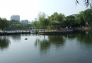 八一公園