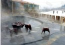 沐龍山溫泉