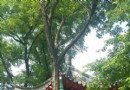 元寶山公園