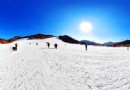 同泉高山滑雪場